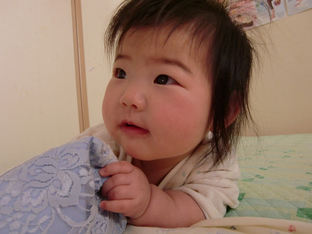 花ちゃんおめでとう 日記 柴わんこ太郎さんのブログ 妊娠 出産 育児に関する総合情報サイト ベビカム 花ちゃんおめでとう 日記 柴わんこ太郎さんのブログ 妊娠 出産 育児に関する総合情報サイト ベビカム