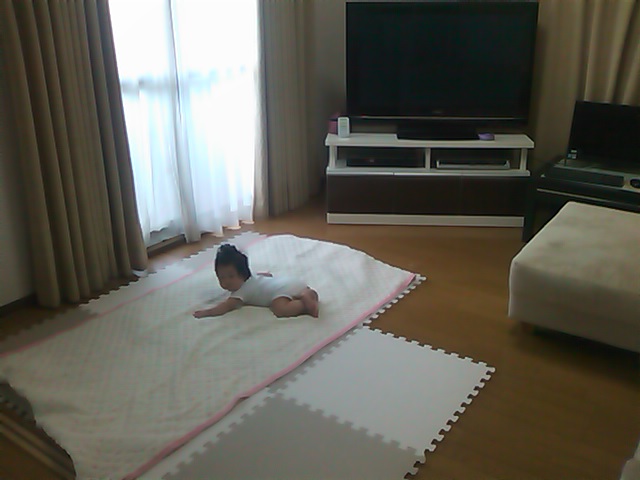 模様替え 日記 クローバー さんのブログ 妊娠 出産 育児に関する総合情報サイト ベビカム