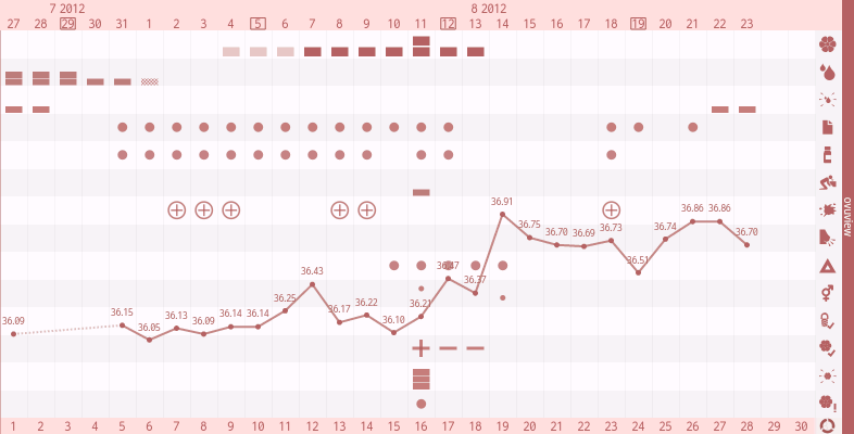 高温期12日目