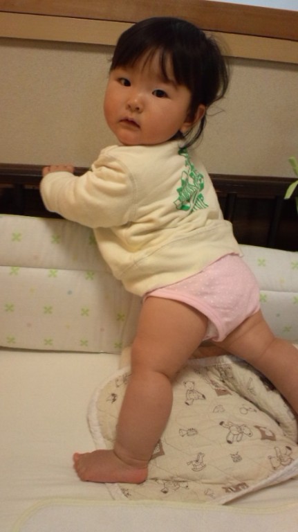 １０ヶ月 日記 かほにゃんさんのブログ 妊娠 出産 育児に関する総合情報サイト ベビカム