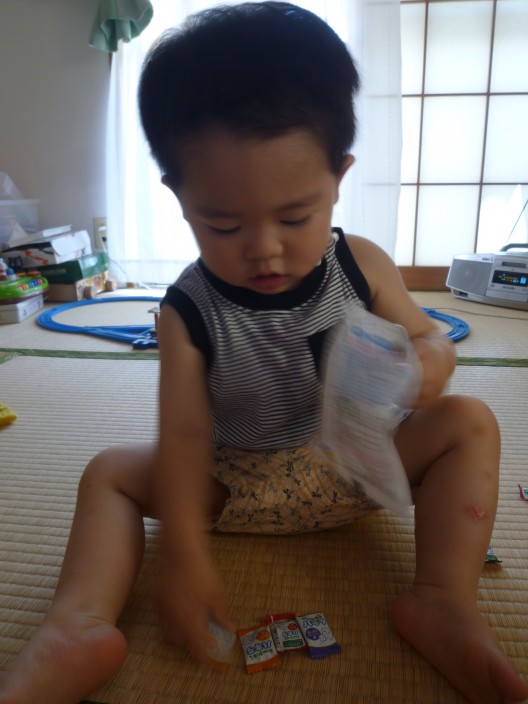 お菓子と思っているようで・・・