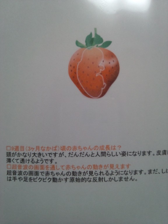 9w1d 初めての産科受診 日記 Kaonaoさんのブログ 妊娠 出産 育児に関する総合情報サイト ベビカム