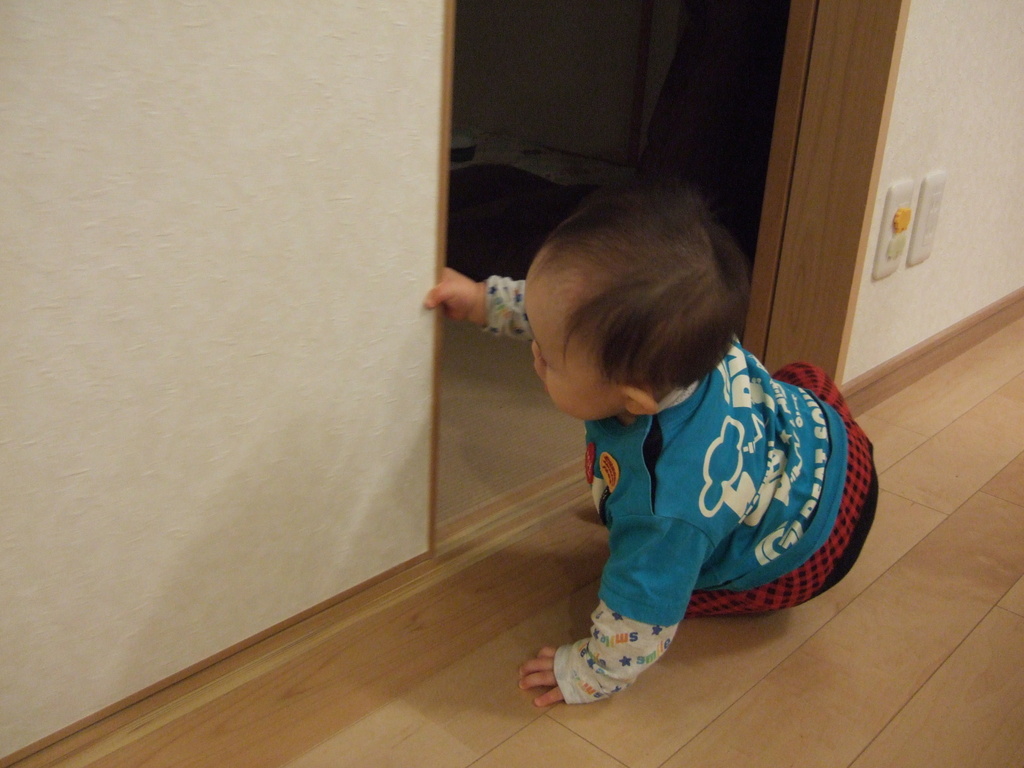 ふすま 日記 にゅみみっくすさんのブログ 妊娠 出産 育児に関する総合情報サイト ベビカム