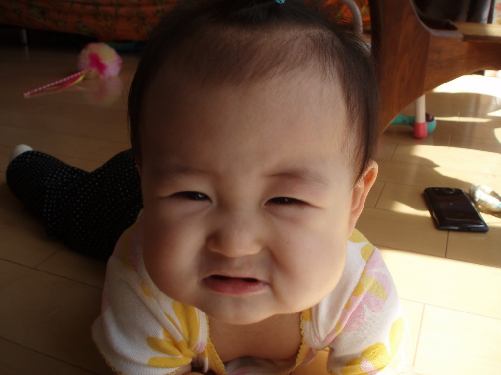 おもしろ写真特集 日記 Jijicoさんのブログ 妊娠 出産 育児に関する総合情報サイト ベビカム