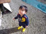 あおまめ助