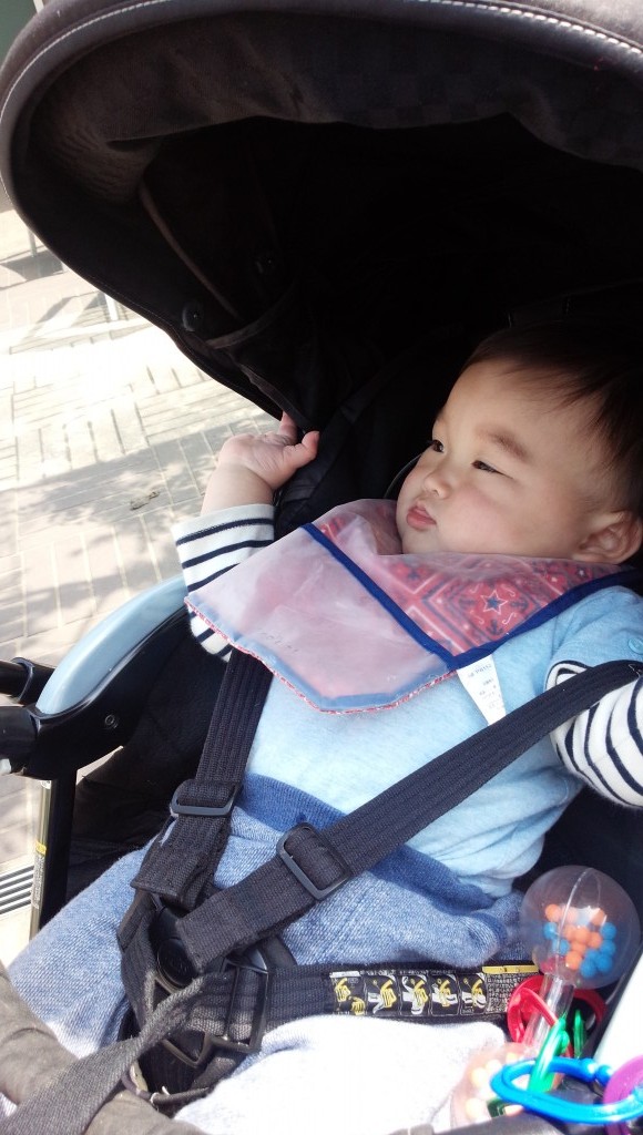 生後1226日 360日 長男３歳年少と次男１歳の成長記録 日記 Chii0818さんのブログ 妊娠 出産 育児に関する総合情報サイト ベビカム