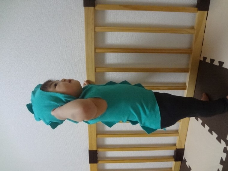 ノビッチャオを着た怪獣 レビュー はなのブログ 妊娠 出産 育児に関する総合情報サイト ベビカム