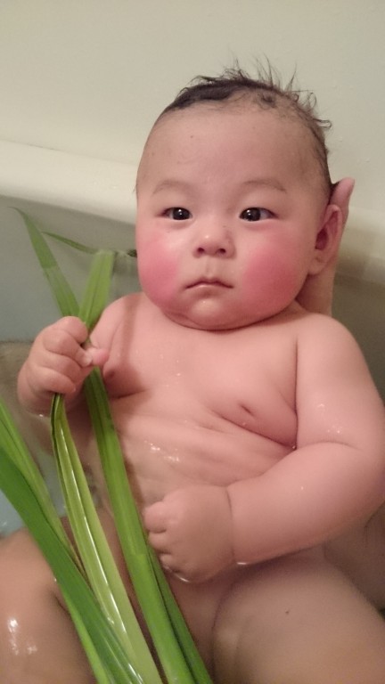 菖蒲湯 日記 Kumaさんのブログ 妊娠 出産 育児に関する総合情報サイト ベビカム 菖蒲湯 日記 Kumaさんのブログ 妊娠 出産 育児に関する総合情報サイト ベビカム