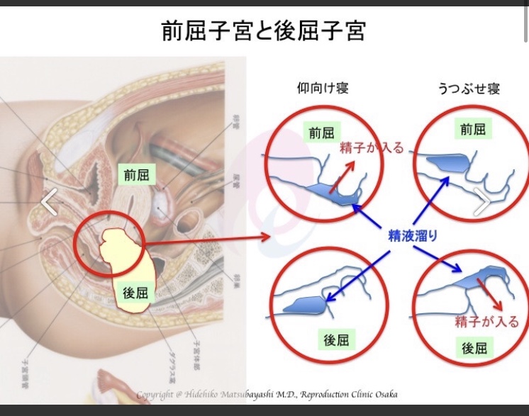 高温期 子宮口