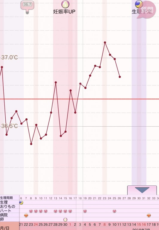 体温上がる 高温期14日目 高温期13日目…妊娠の可能性は…