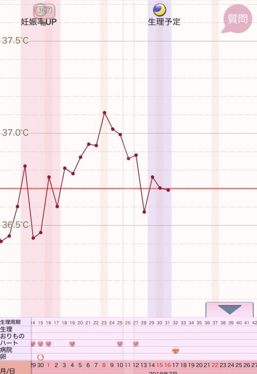 出血 高温期15日目