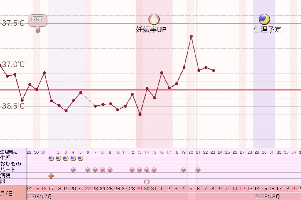 高温期9日目