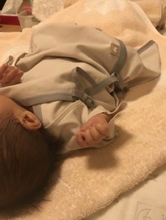 さんしちご