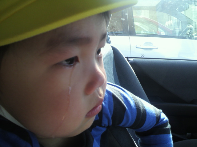 涙ぽろぽろ 日記 ハチママさんのブログ 妊娠 出産 育児に関する総合情報サイト ベビカム