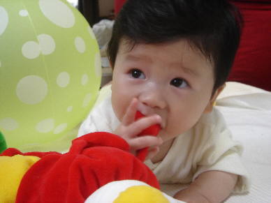 8ヶ月健診 日記 K Kobaさんのブログ 妊娠 出産 育児に関する総合情報サイト ベビカム