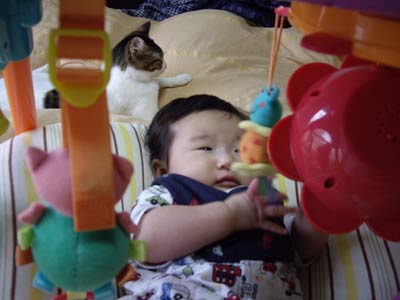 4ヶ月赤ちゃん講座 日記 えまぞうさんのブログ 妊娠 出産 育児に関する総合情報サイト ベビカム 4ヶ月赤ちゃん講座 日記 えまぞうさんのブログ 妊娠 出産 育児に関する総合情報サイト ベビカム