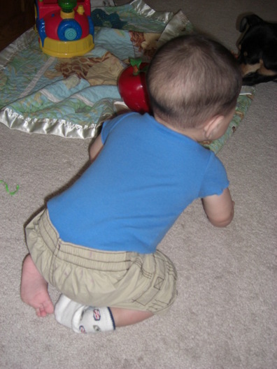 福助 日記 Boogieさんのブログ 妊娠 出産 育児に関する総合情報サイト ベビカム