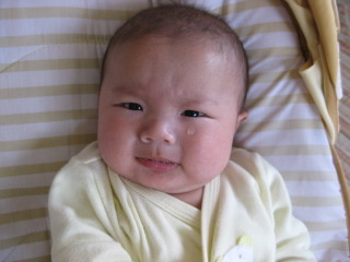 大粒の涙 でべそ 日記 かえる さといもさんのブログ 妊娠 出産 育児に関する総合情報サイト ベビカム