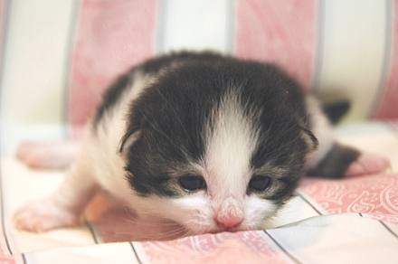 もしや つわり終了 だといいなぁ 日記 みっきもさんのブログ 妊娠 出産 育児に関する総合情報サイト ベビカム