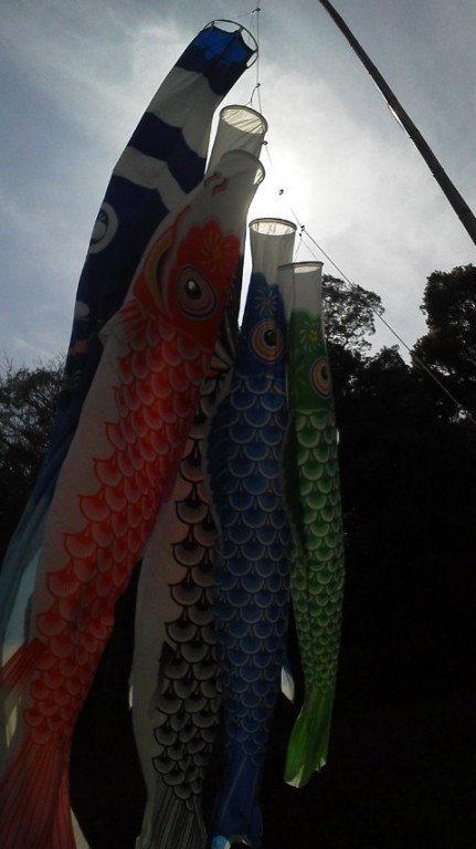 鯉のぼり 日記 パープルさんのブログ 妊娠 出産 育児に関する総合情報サイト ベビカム