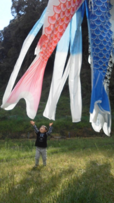 鯉のぼり 日記 パープルさんのブログ 妊娠 出産 育児に関する総合情報サイト ベビカム