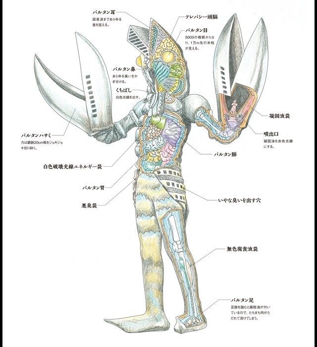玄光社 開田裕治 ウルトラ怪獣ぬりえ を3名様にプレゼント 教育 本 ハピプレ 妊娠 出産 育児に関する総合情報サイト ベビカム