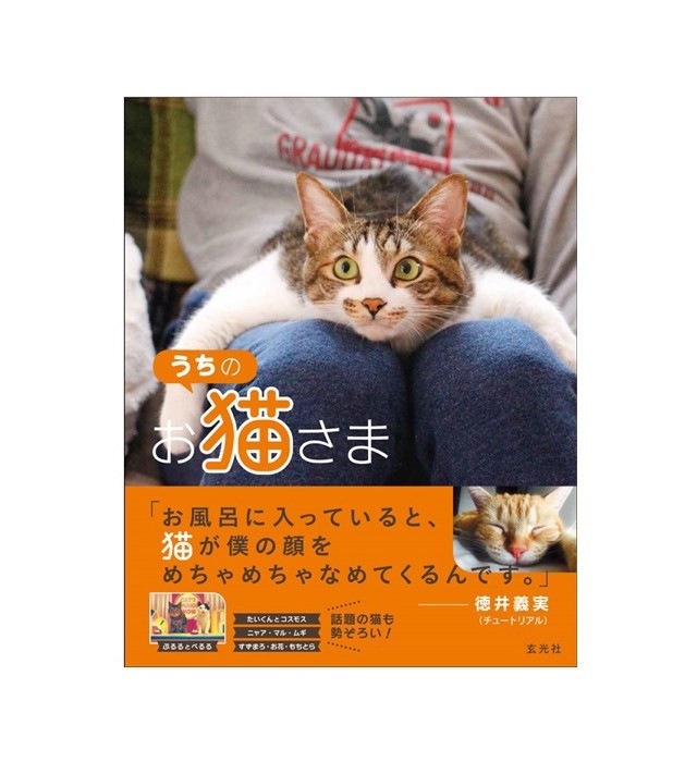 うちのお猫さま